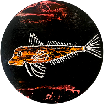 Gurnard